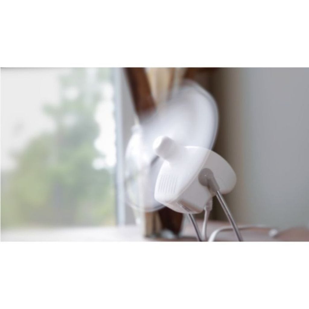 Caframo Chinook 2-Speed Electric Desk Fan