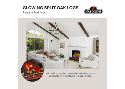 Napoleon Rosedale 2 26" Built-in Electric Fireplace Insert