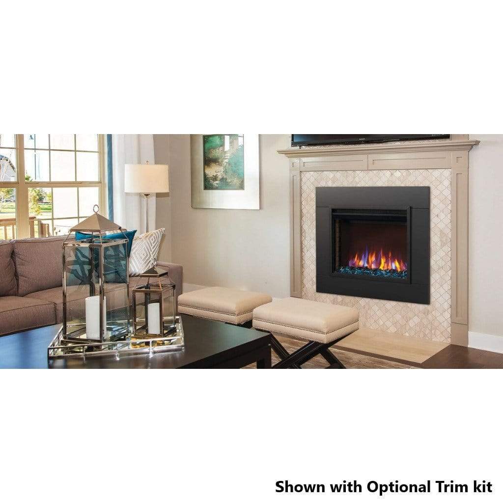 Napoleon Cineview 30" Built-in Electric Fireplace Insert